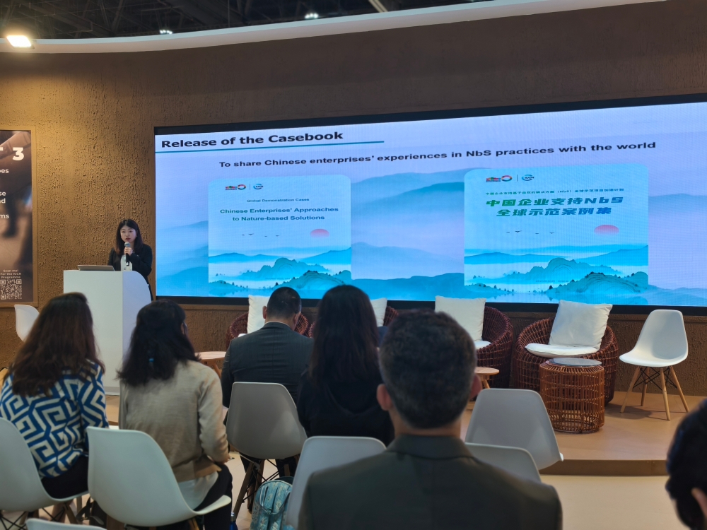 融绿于建，风动世界-1