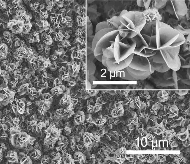 中国科学家：这次重要突破纯属偶然-2