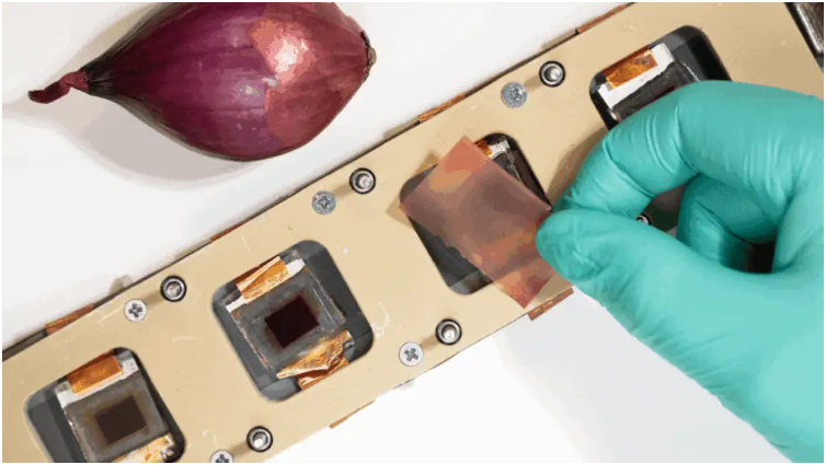 芬兰团队用红洋葱皮开发出高性能生物基太阳能电池防护膜-1