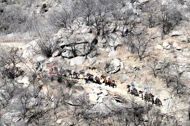 逐绿前行上的蝶变-2