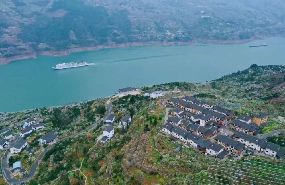 巫山帮扶故事：让 “诗和远方” 落地生根-1