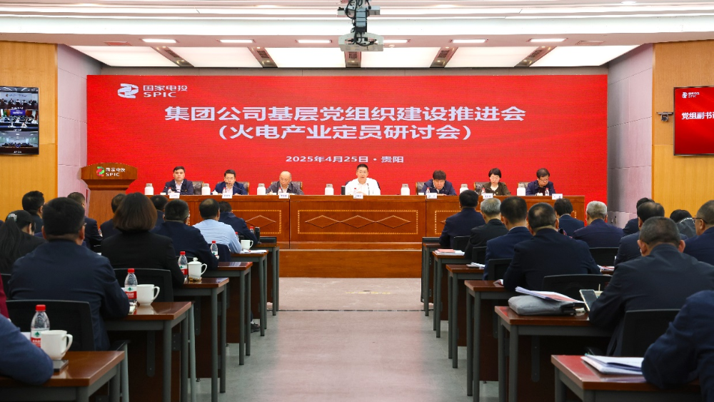 国家电投集团召开基层党组织建设推进会-1