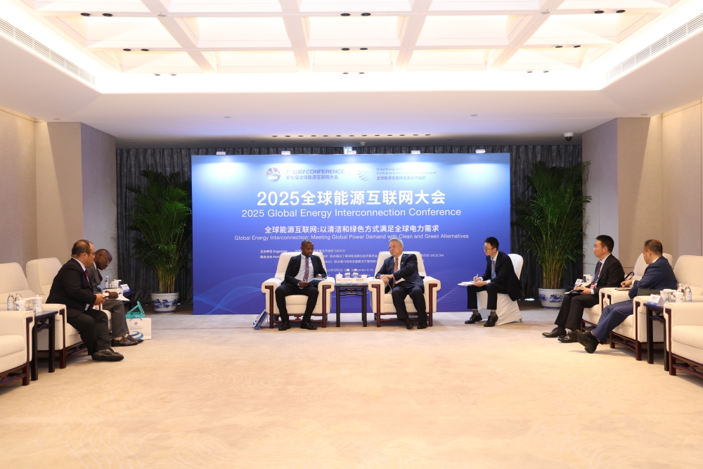 刘泽洪驻会副主席与出席2025全球能源互联网大会的有关嘉宾举行会谈-3