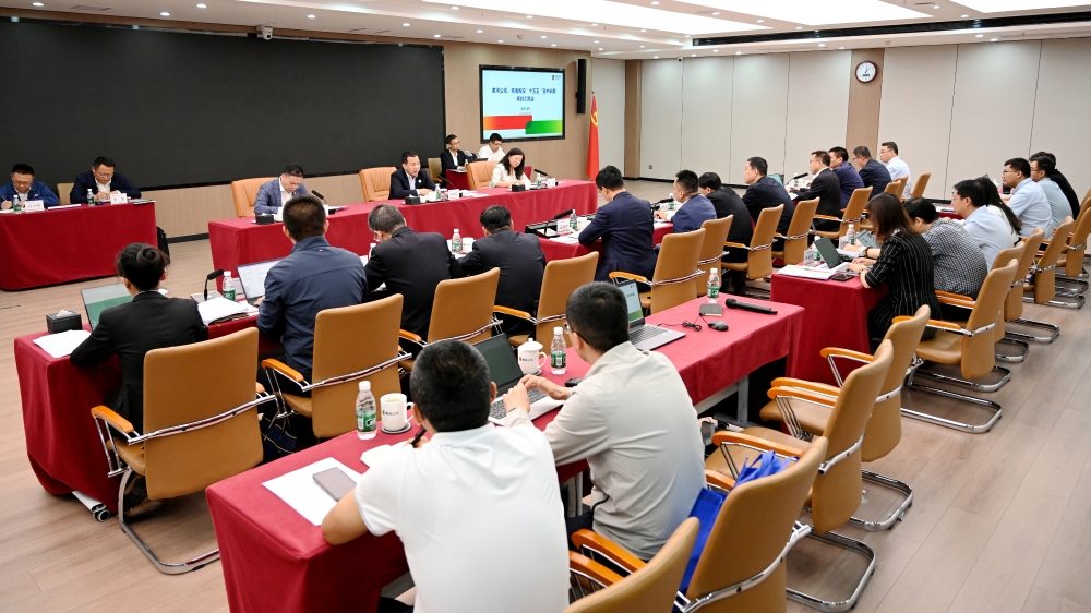 刘明胜围绕青海区域发展开展“十五五”规划专题调研-1