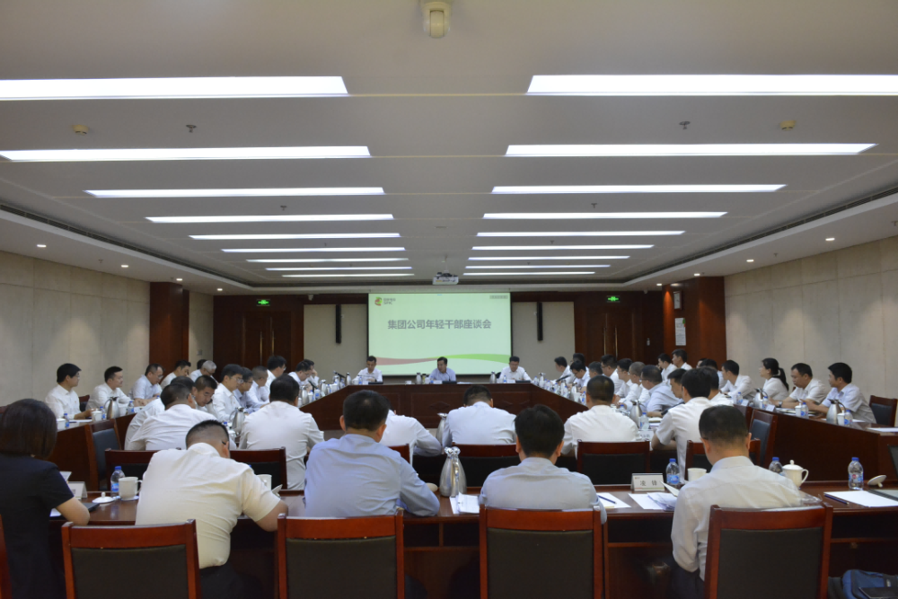 国家电投召开年轻干部座谈会-1