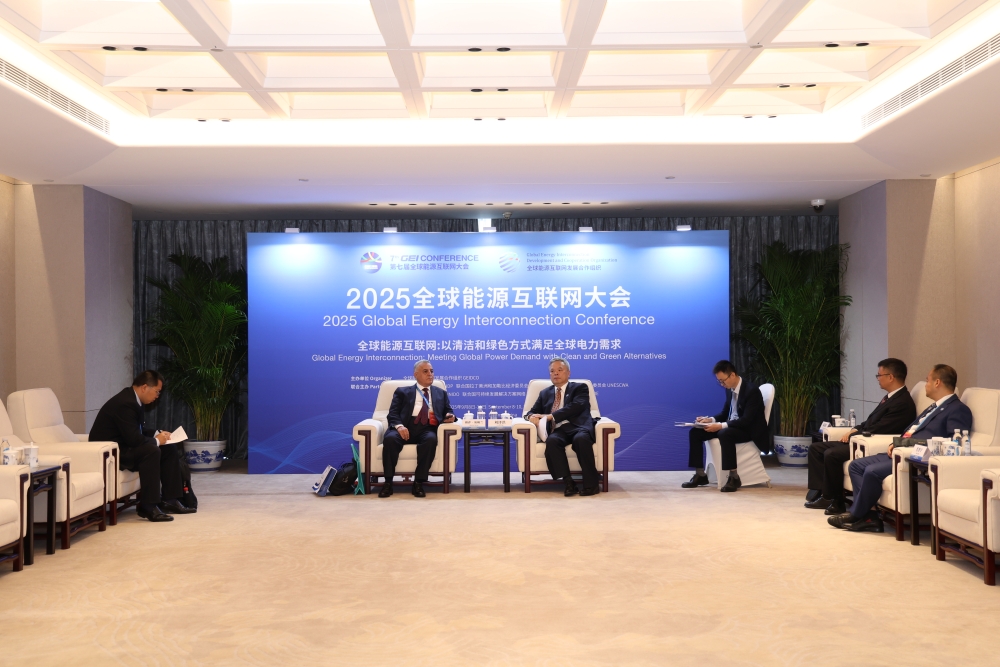 刘泽洪驻会副主席与出席2025全球能源互联网大会的有关嘉宾举行会谈-1
