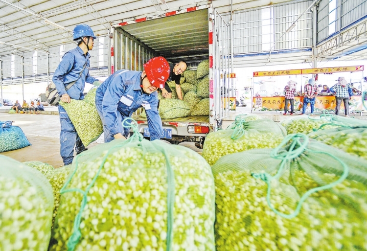 广西电网公司：茉莉飘香电力足-1