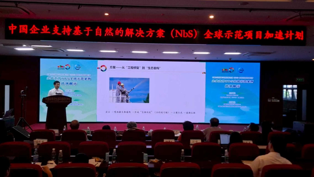 融绿于建，风动世界-3