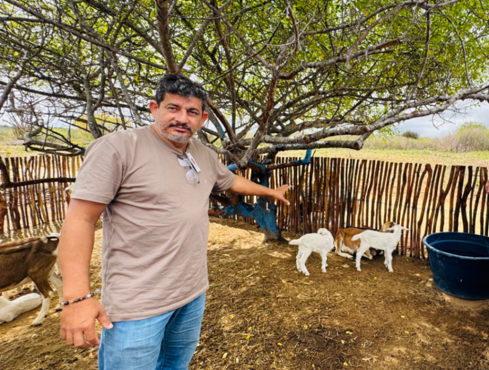 大风车转出“羊奶经济-5