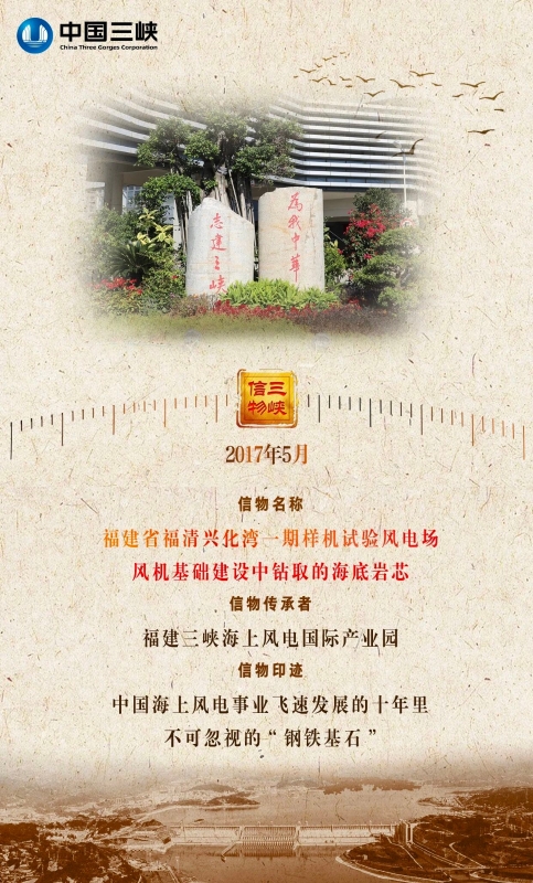 从荒芜滩涂到全球领跑，“海上大国重器”在这里孕育-1