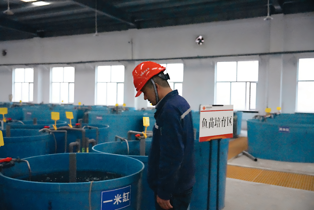 27万尾鱼苗“出征”护航黄河生态-1
