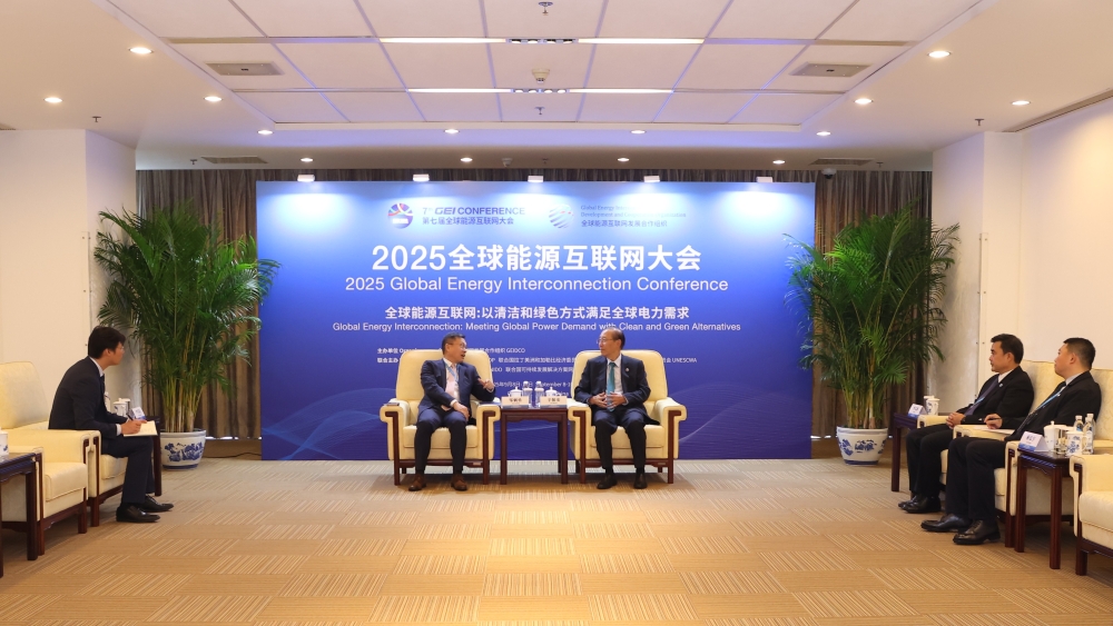 辛保安与出席2025全球能源互联网大会的有关嘉宾举行会谈-3