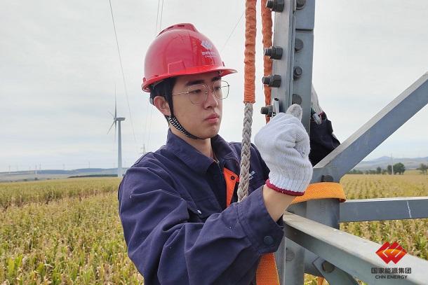 龙源西关风电场排查线路隐患保供电安全-1