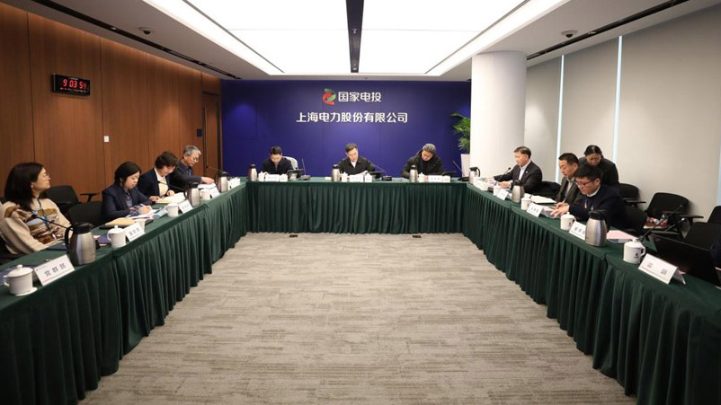 陈海斌到上海电力调研-1