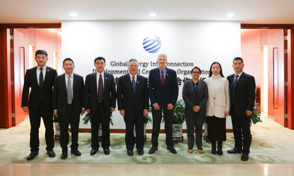 刘泽洪驻会副主席与世界自然基金会全球能源总监迪恩·库珀举行会谈-1