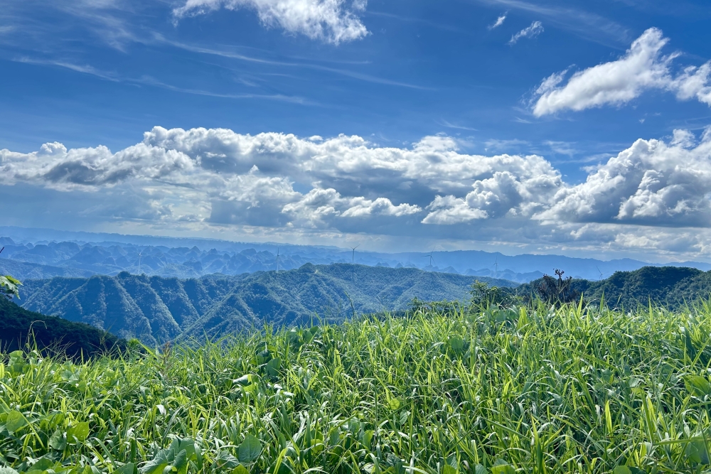 融绿于建，风动世界-4