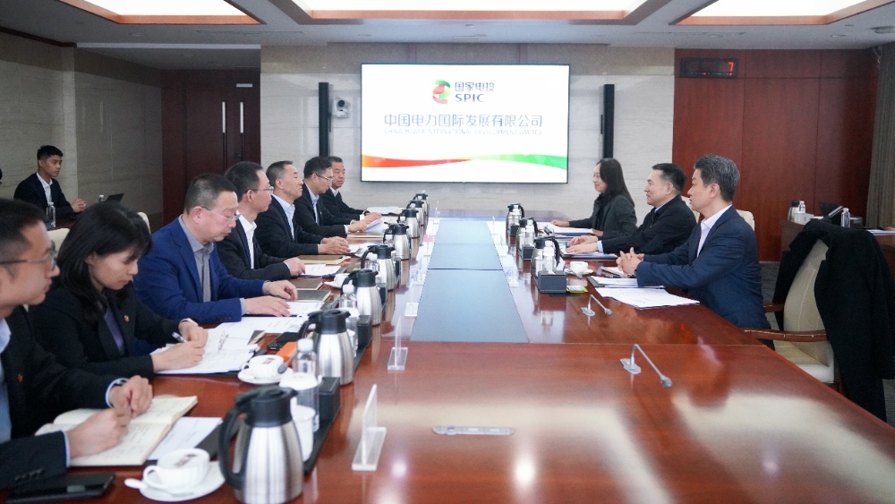 陈海斌到中国电力调研-1