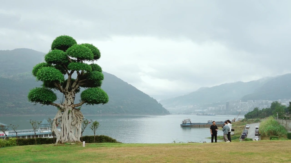 新三峡 新库区丨三峡库区绘就新画卷-7