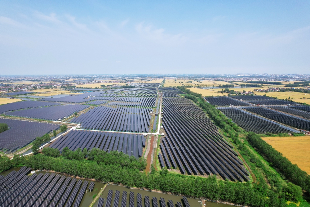 国华投资在苏首个“渔光互补”项目全容量并网发电-1