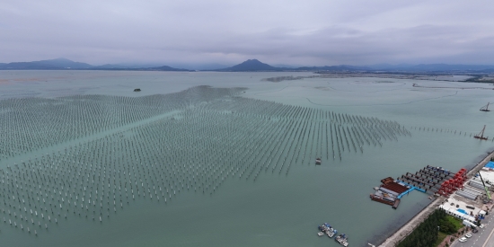 向海逐光，奏响海洋能源开发新乐章-1