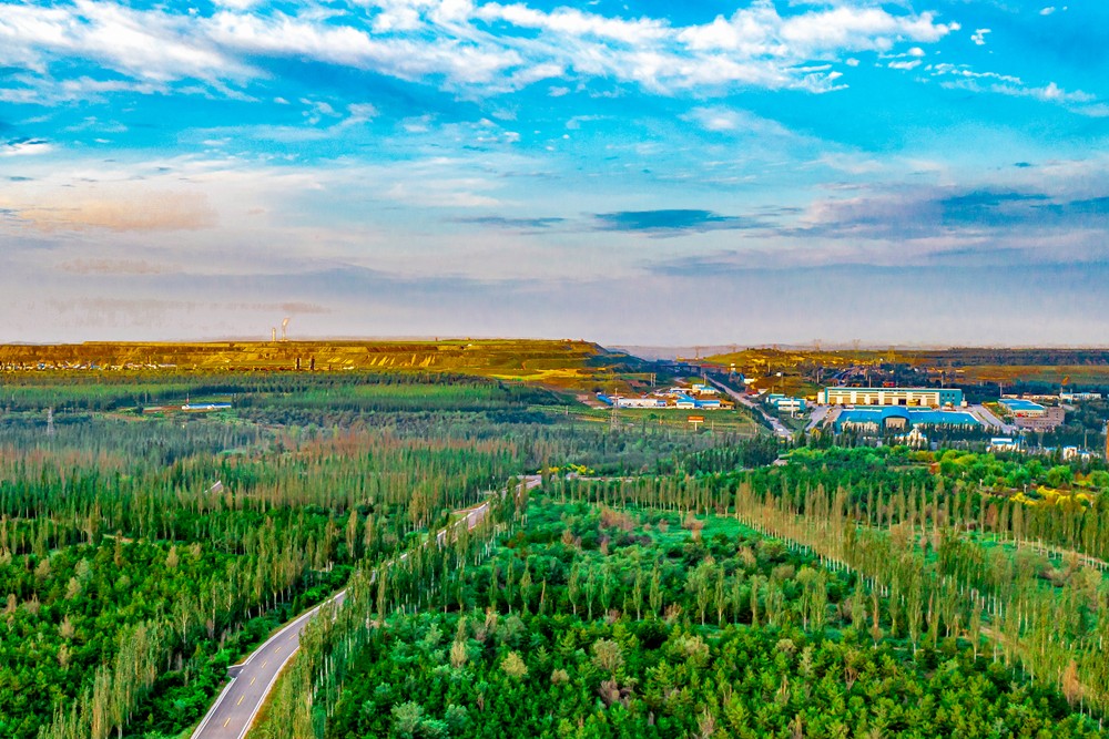 三代人种出的“煤海塞罕坝”-1