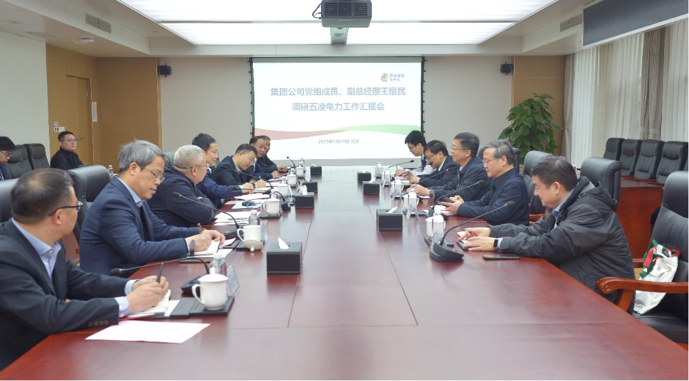 王绍民到五凌电力调研-1