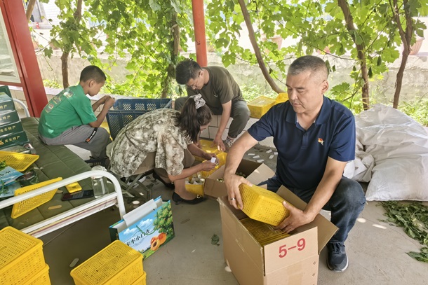 清水村的丰收答卷-2