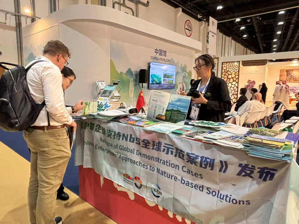 融绿于建，风动世界-5