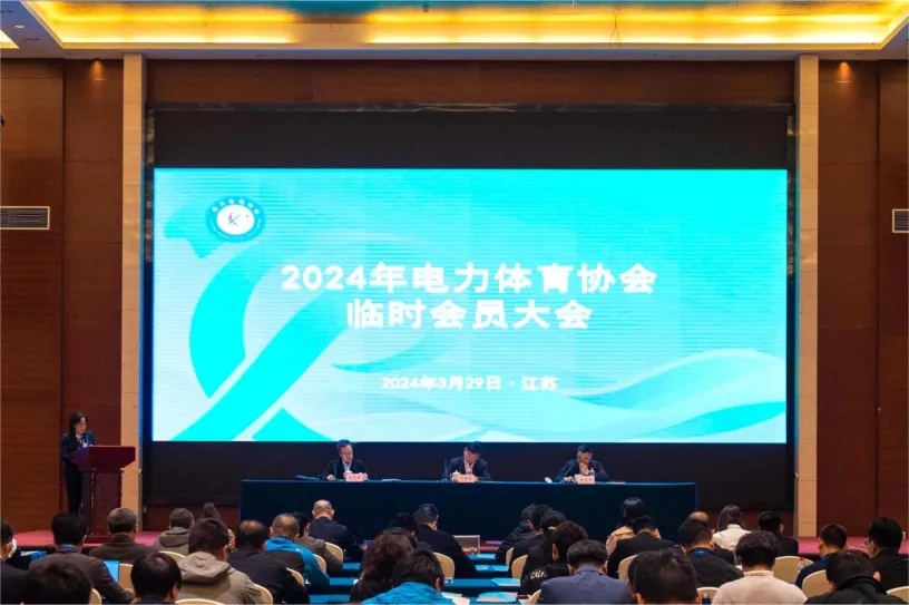 电力体协成功召开2024年临时会员大会和第七届监事会第一次会议-1