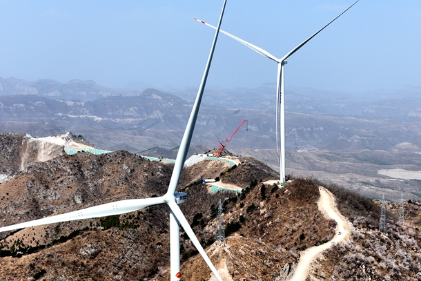 逐绿前行上的蝶变-3